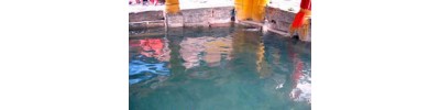 069. திருவதரியாஸ்ரமம்